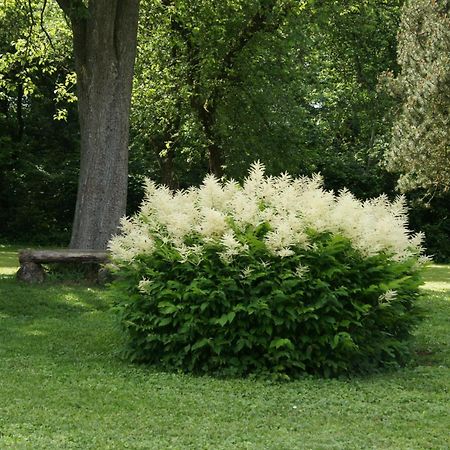 Dahlem  Landgasthof Em Lade מראה חיצוני תמונה
