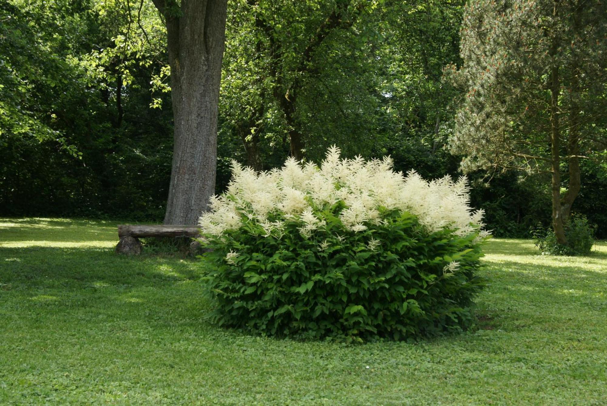 Dahlem  Landgasthof Em Lade מראה חיצוני תמונה